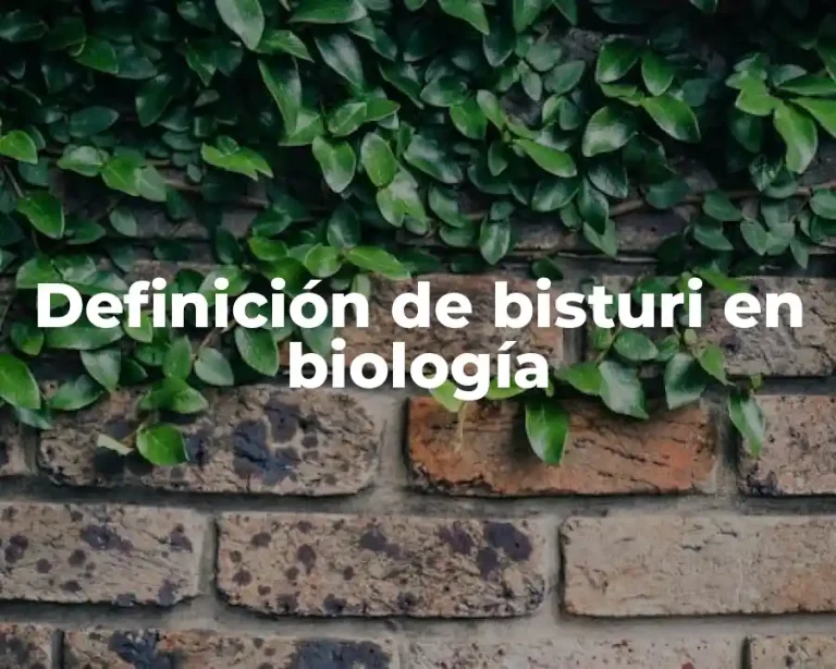Definición de bisturi en biología