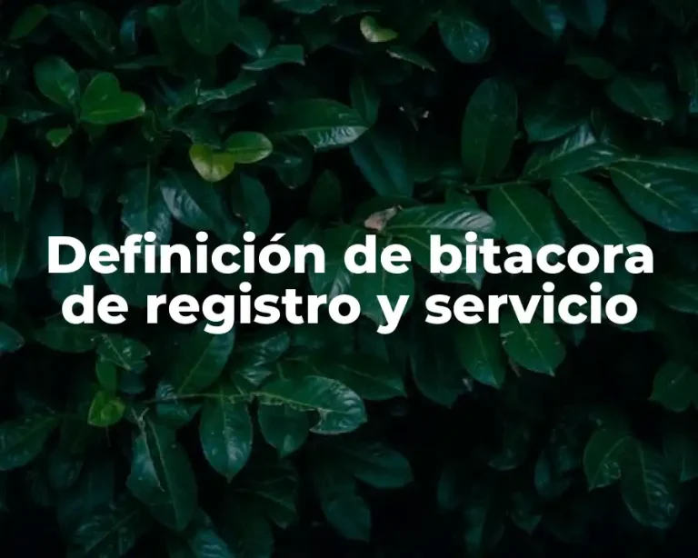 Definición de bitacora de registro y servicio