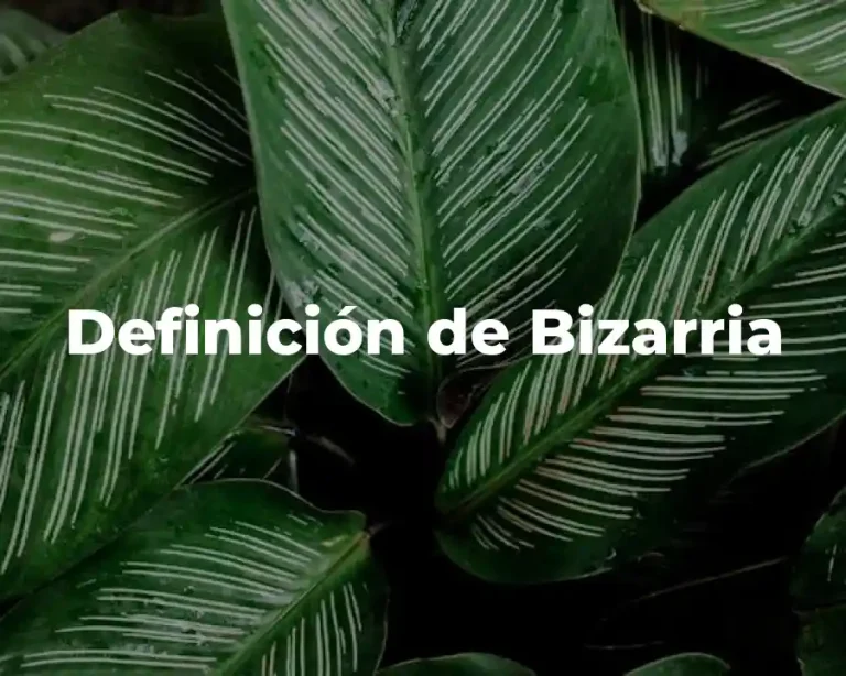 Definición de Bizarria