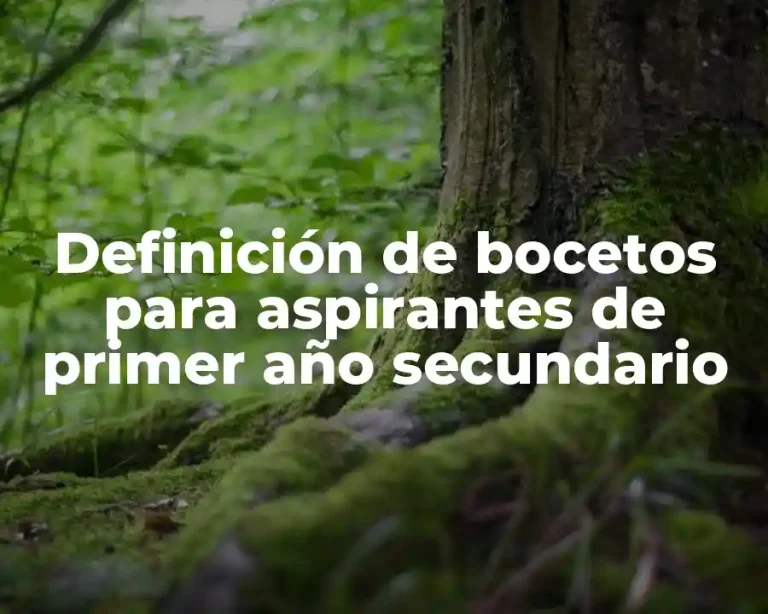 Definición de bocetos para aspirantes de primer año secundario