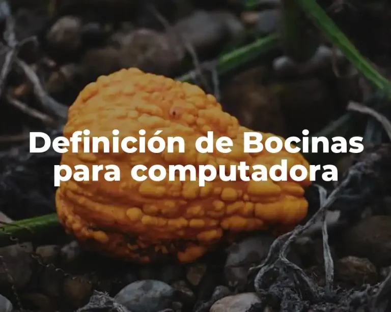 Definición de Bocinas para computadora