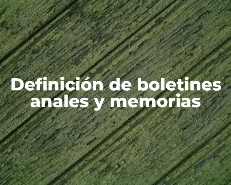 Definición de boletines anales y memorias