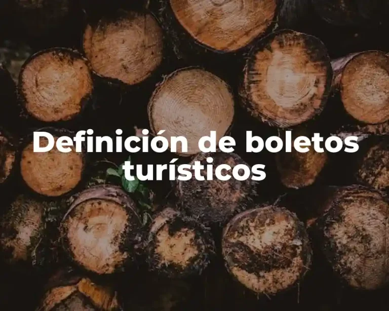 Definición de boletos turísticos