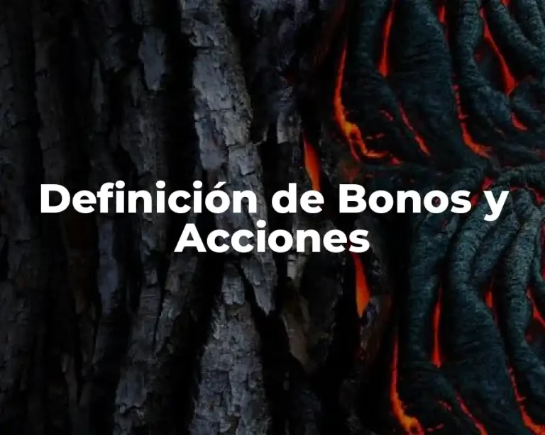Definición de Bonos y Acciones