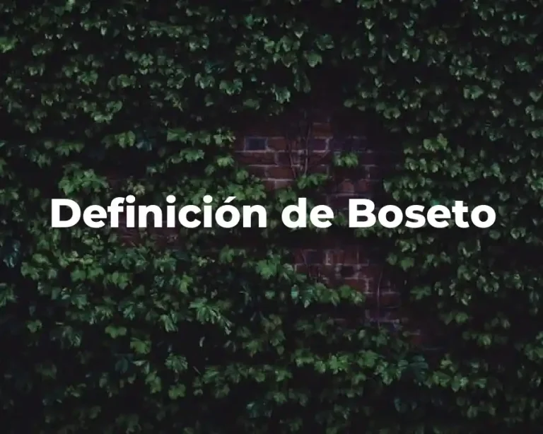 Definición de Boseto