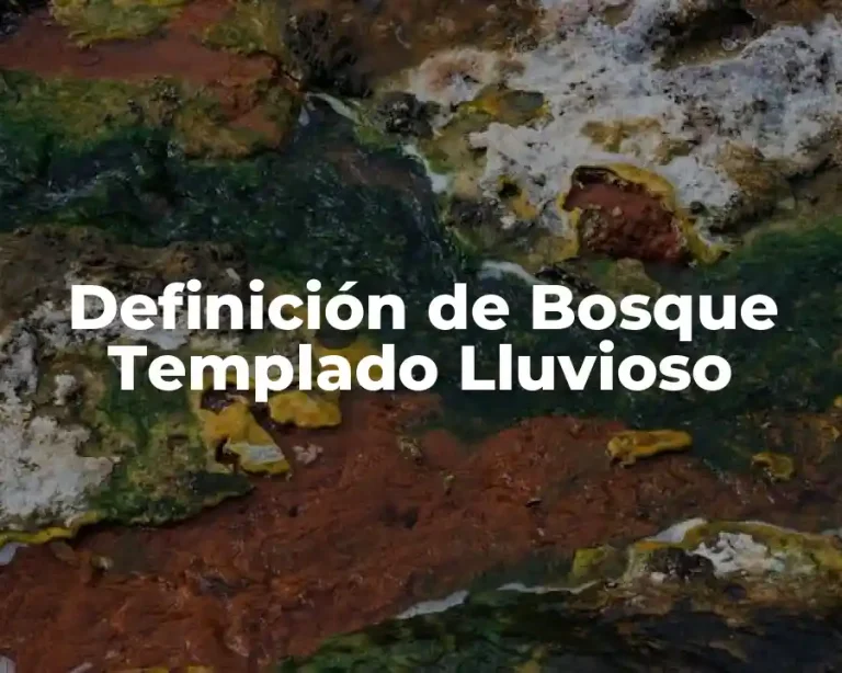 Definición de Bosque Templado Lluvioso