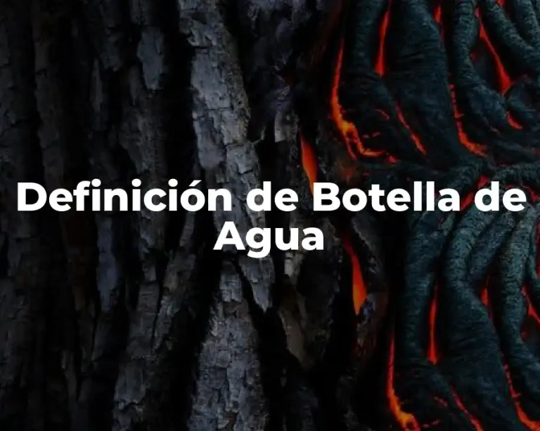 Definición de Botella de Agua