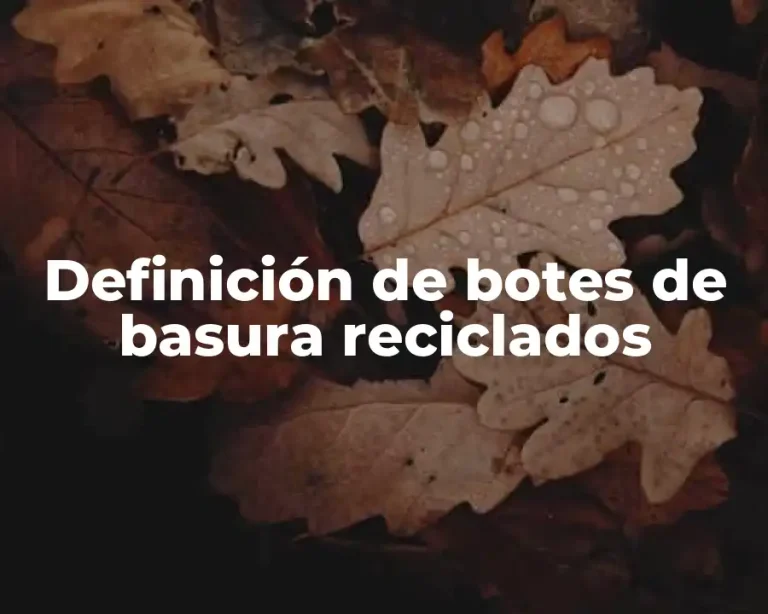 Definición de botes de basura reciclados