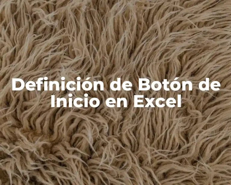 Definición de Botón de Inicio en Excel