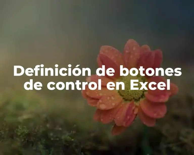 Definición de botones de control en Excel