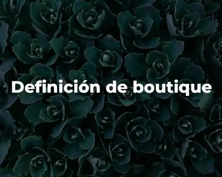 Definición de boutique