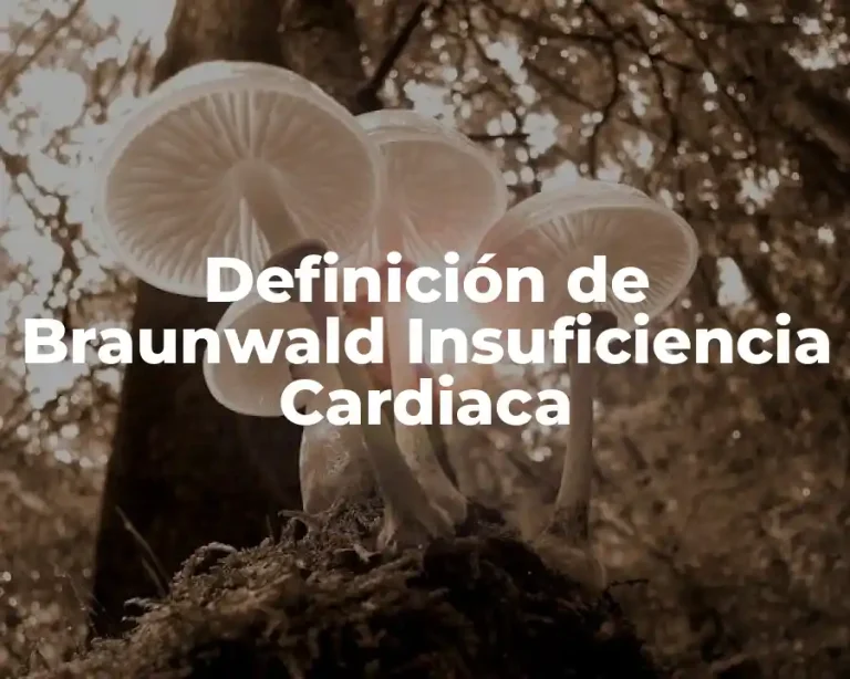Definición de Braunwald Insuficiencia Cardiaca
