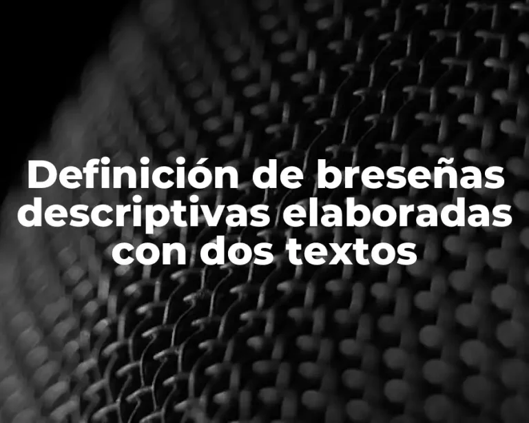 Definición de breseñas descriptivas elaboradas con dos textos