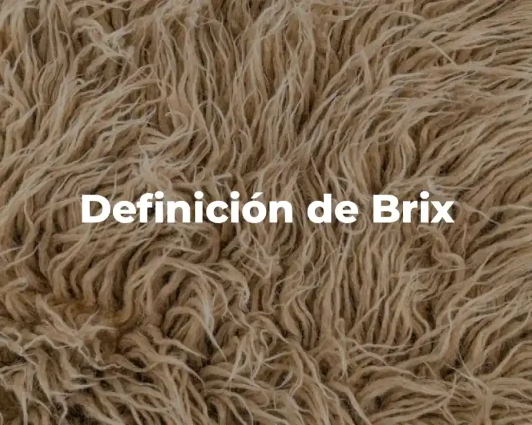 Definición de Brix