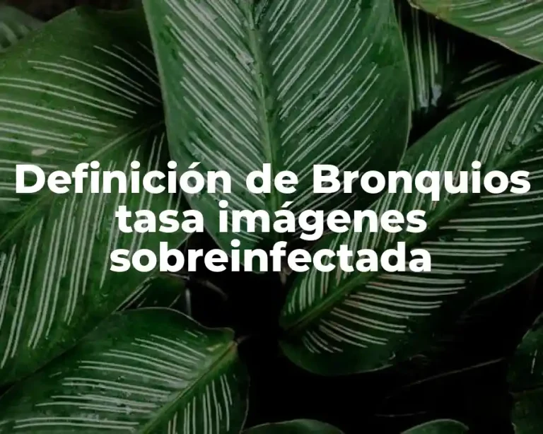 Definición de Bronquios tasa imágenes sobreinfectada
