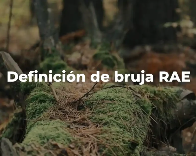 Definición de bruja RAE
