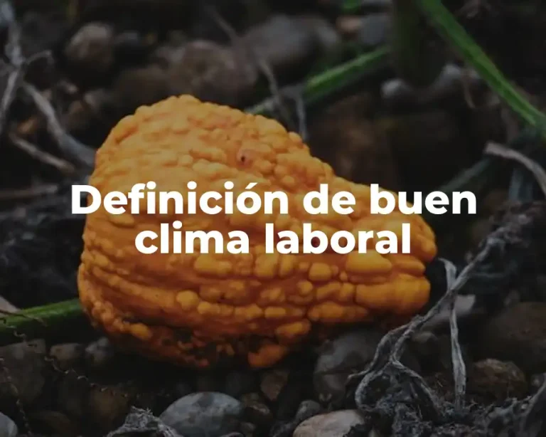 Definición de buen clima laboral