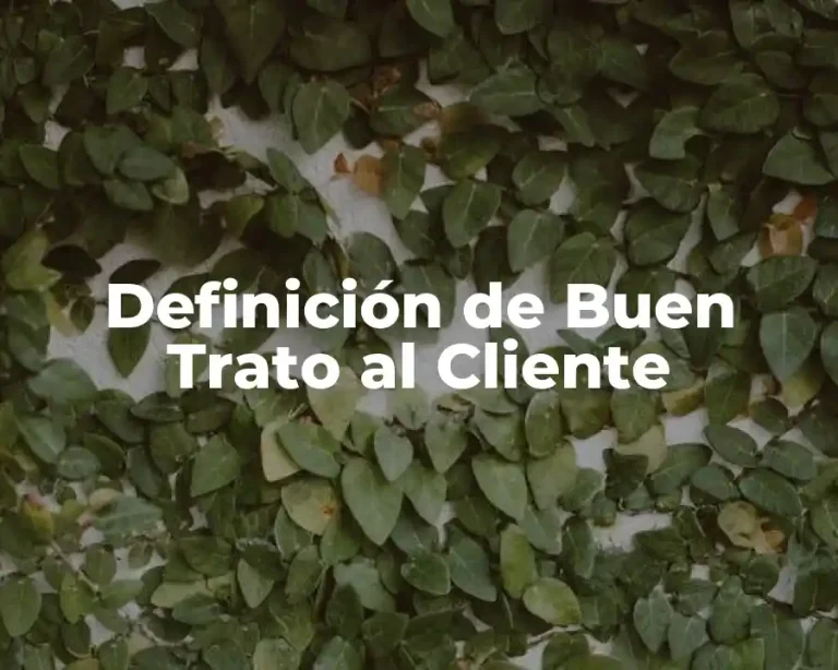 Definición de Buen Trato al Cliente