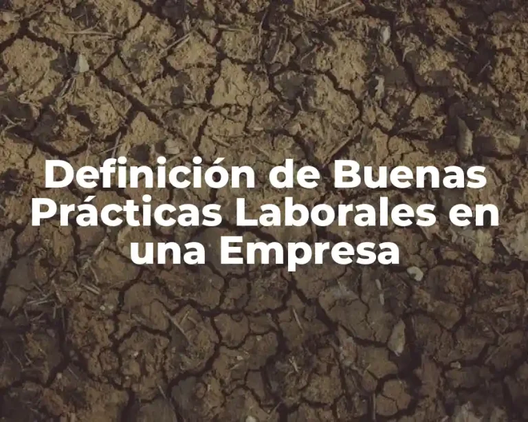 Definición de Buenas Prácticas Laborales en una Empresa