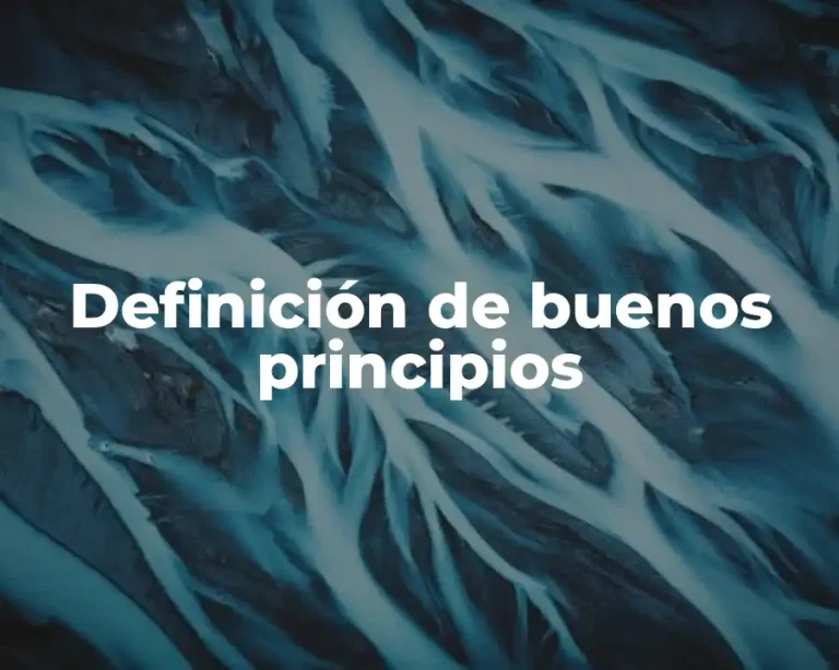 Definición de buenos principios