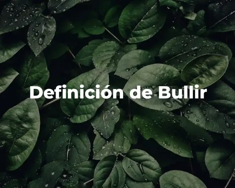 Definición de Bullir