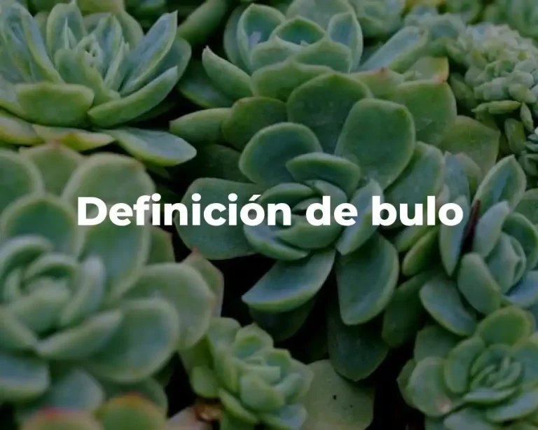 Definición de bulo