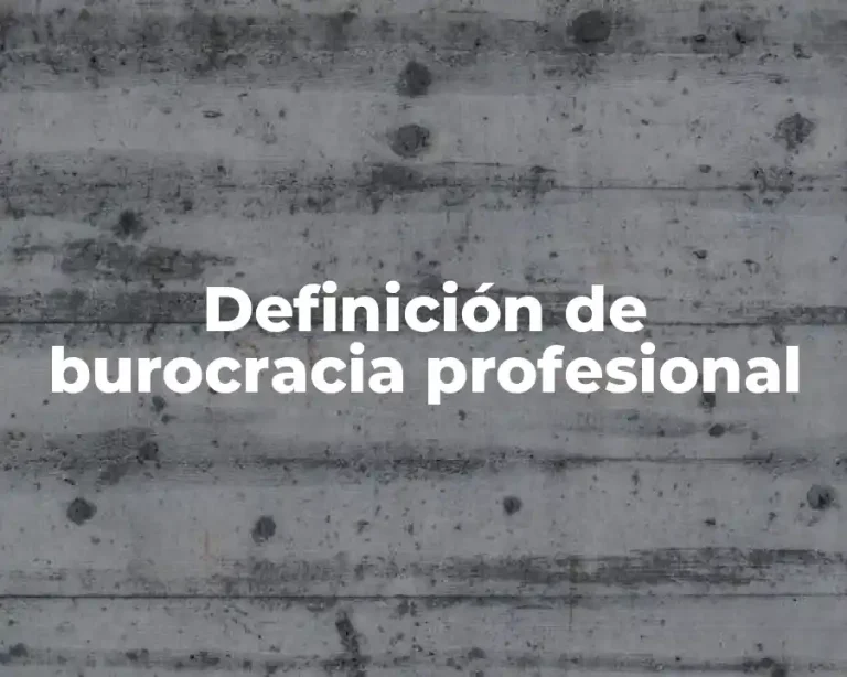 Definición de burocracia profesional