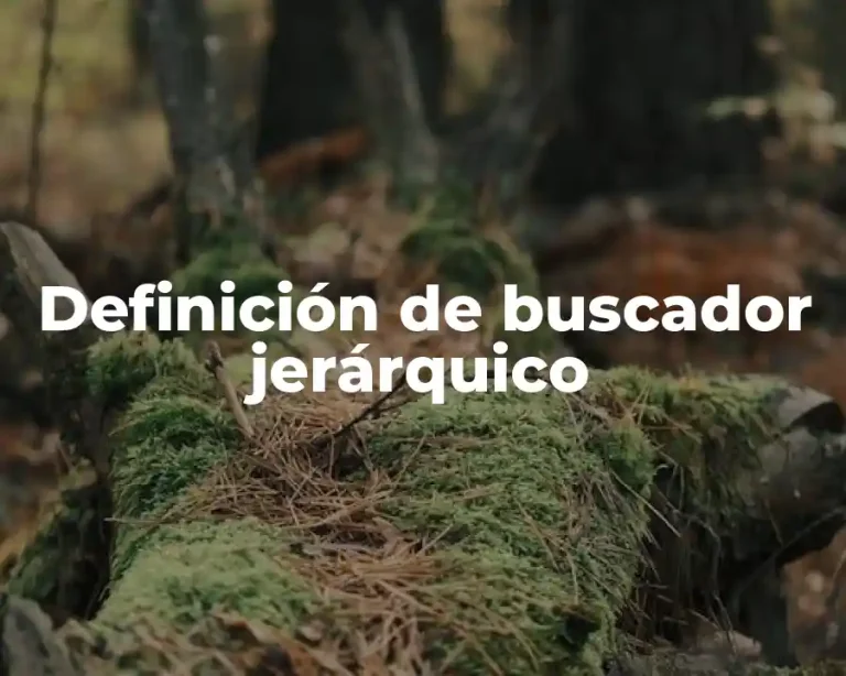 Definición de buscador jerárquico
