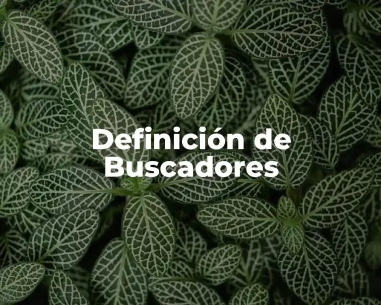 Definición de Buscadores
