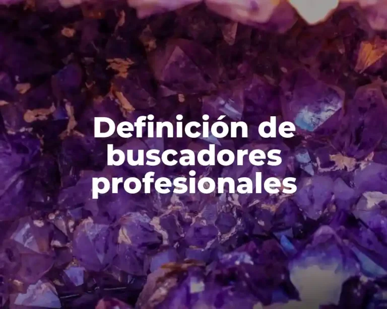 Definición de buscadores profesionales