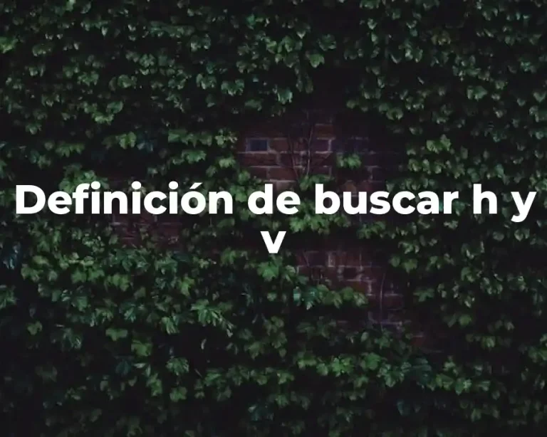 Definición de buscar h y v