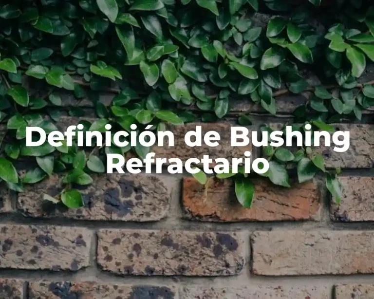Definición de Bushing Refractario