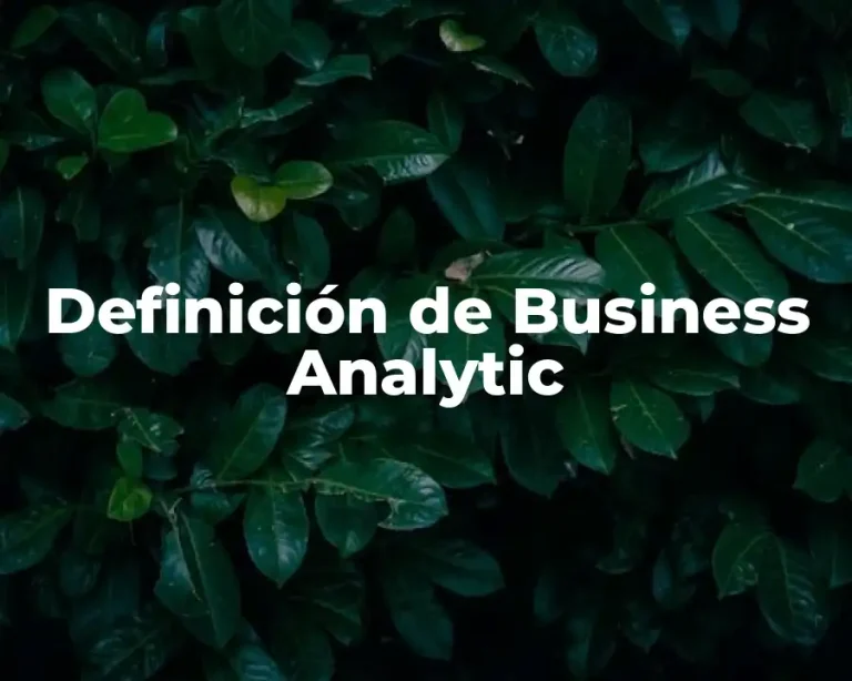 Definición de Business Analytic