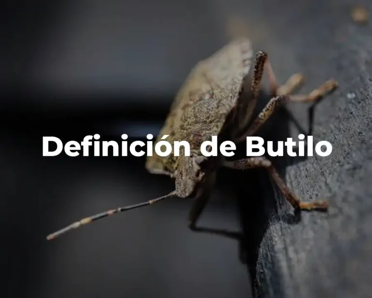 Definición de Butilo