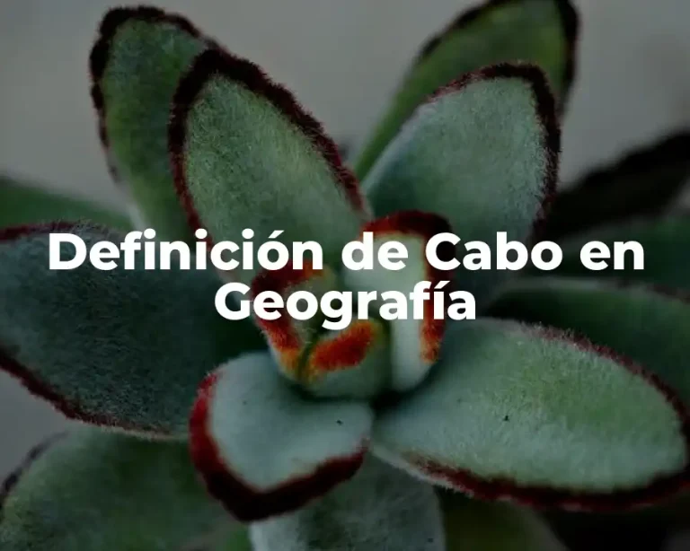 Definición de Cabo en Geografía