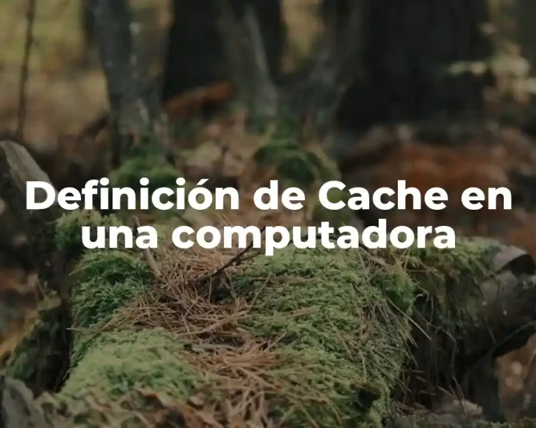 Definición de Cache en una computadora