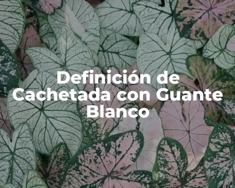 Definición de Cachetada con Guante Blanco