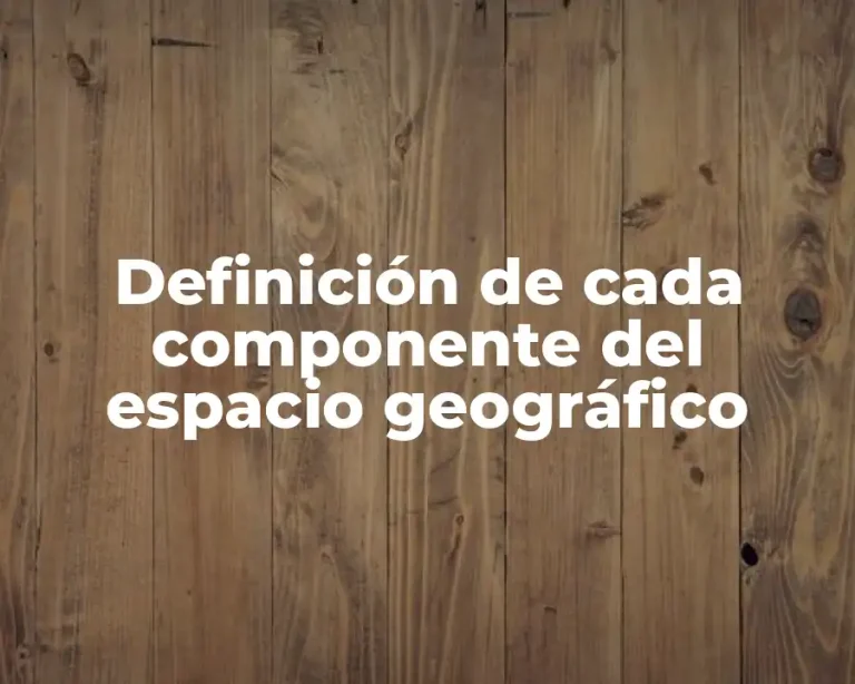 Definición de cada componente del espacio geográfico