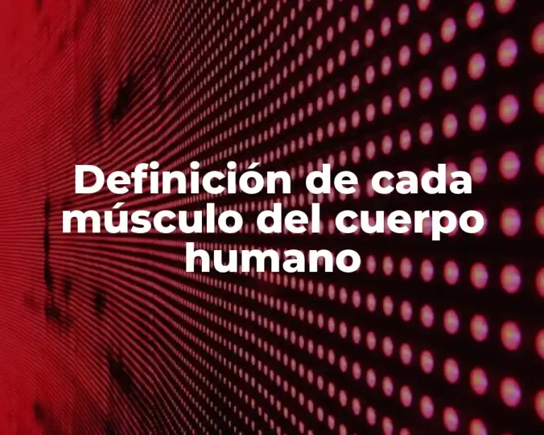 Definición de cada músculo del cuerpo humano