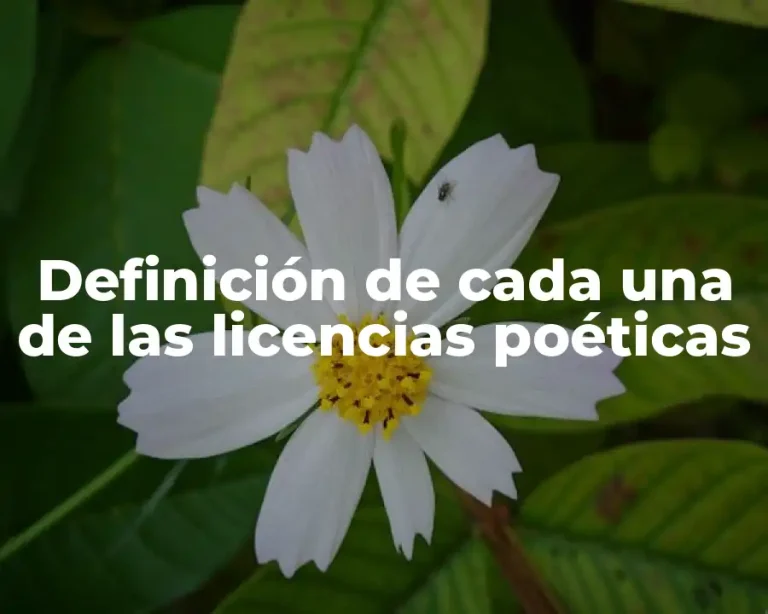 Definición de cada una de las licencias poéticas