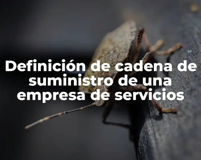 Definición de cadena de suministro de una empresa de servicios