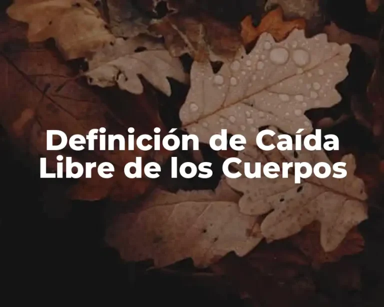 Definición de Caída Libre de los Cuerpos