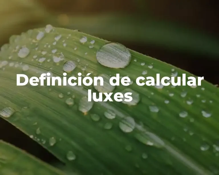 Definición de calcular luxes