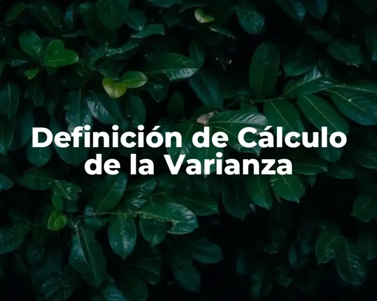Definición de Cálculo de la Varianza