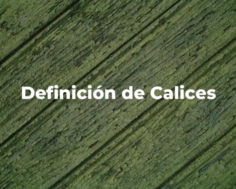 Definición de Calices