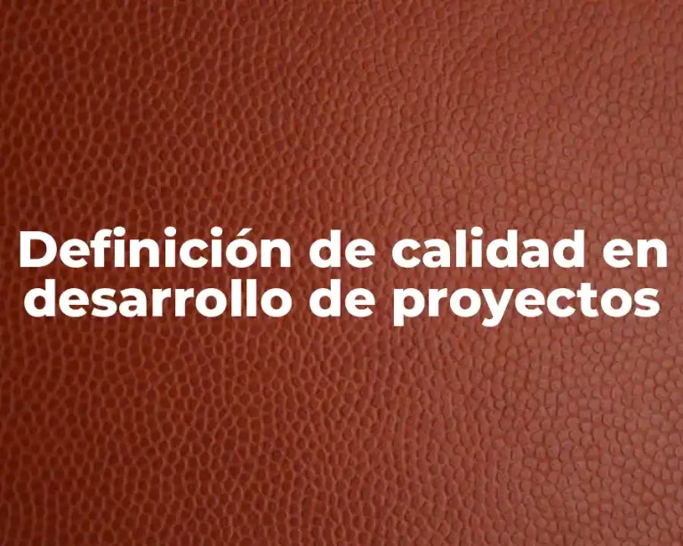 Definición de calidad en desarrollo de proyectos