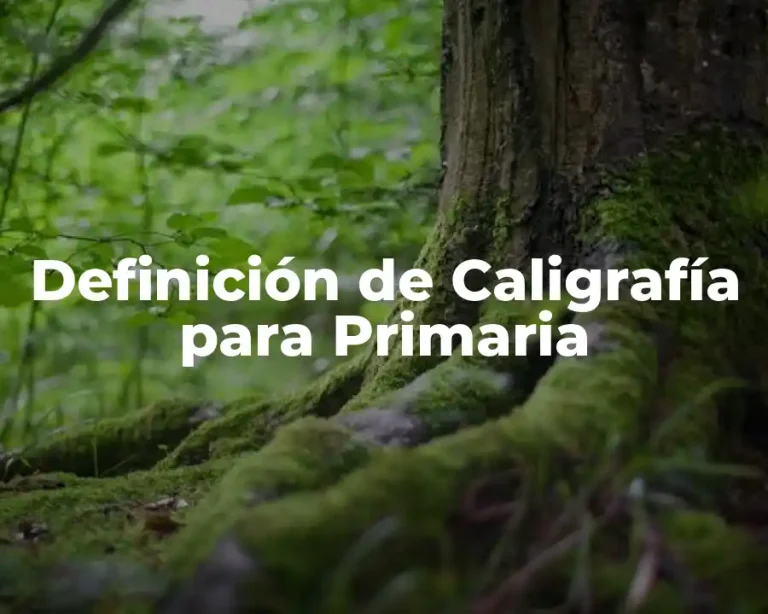 Definición de Caligrafía para Primaria