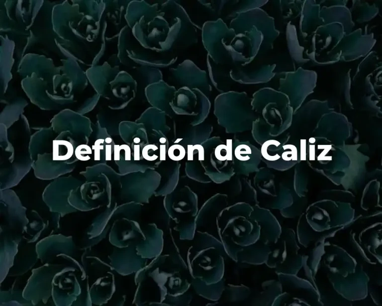 Definición de Caliz