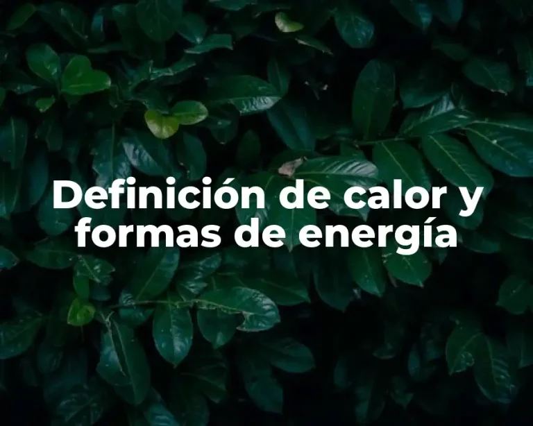 Definición de calor y formas de energía