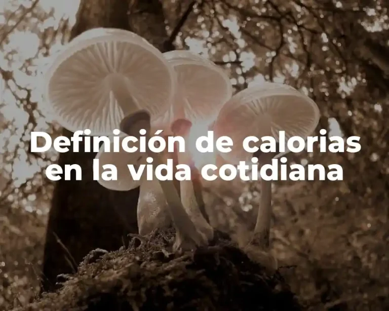 Definición de calorias en la vida cotidiana